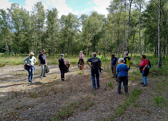 Thementour Hildener Heide