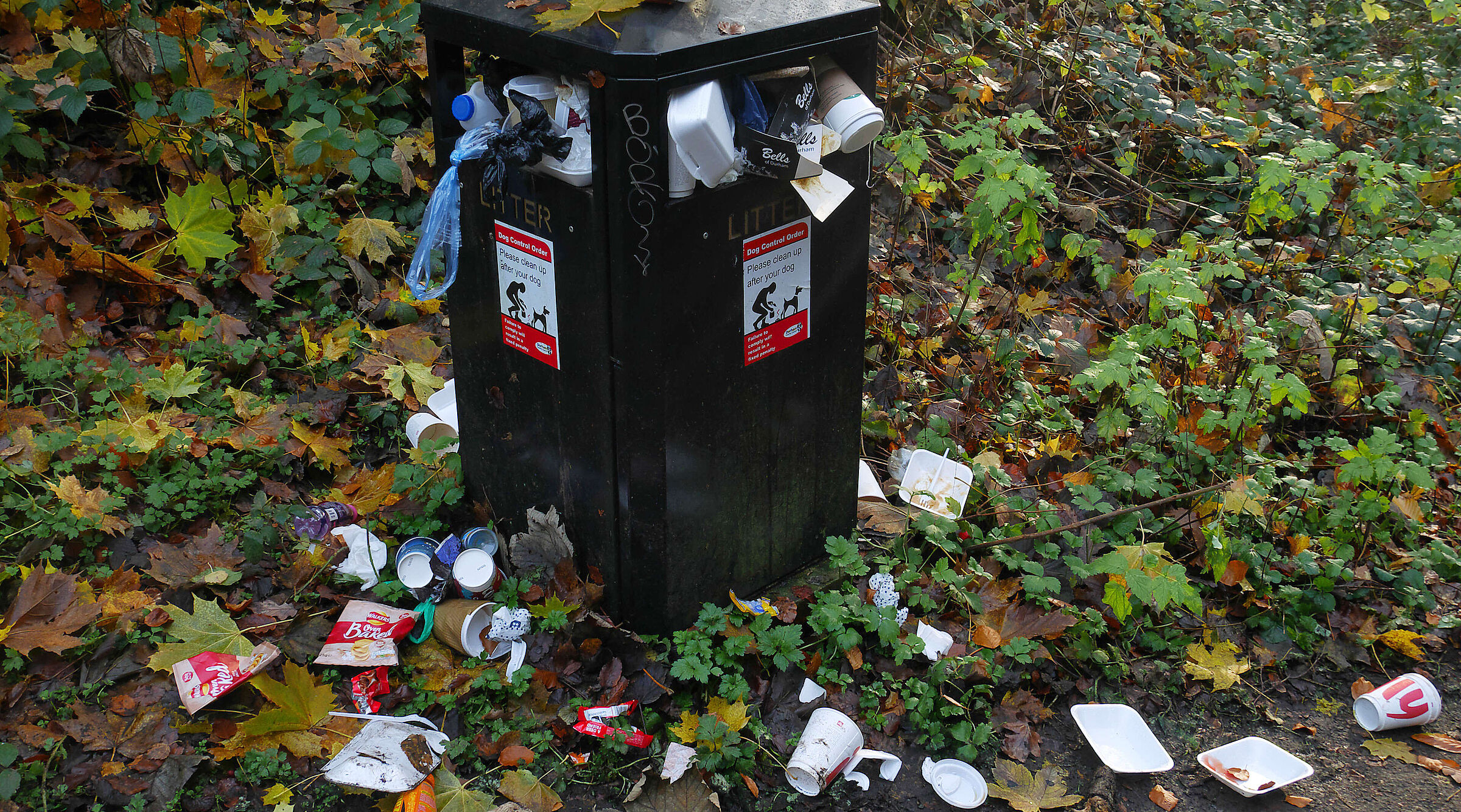 Müll im Park Mülltonne voll