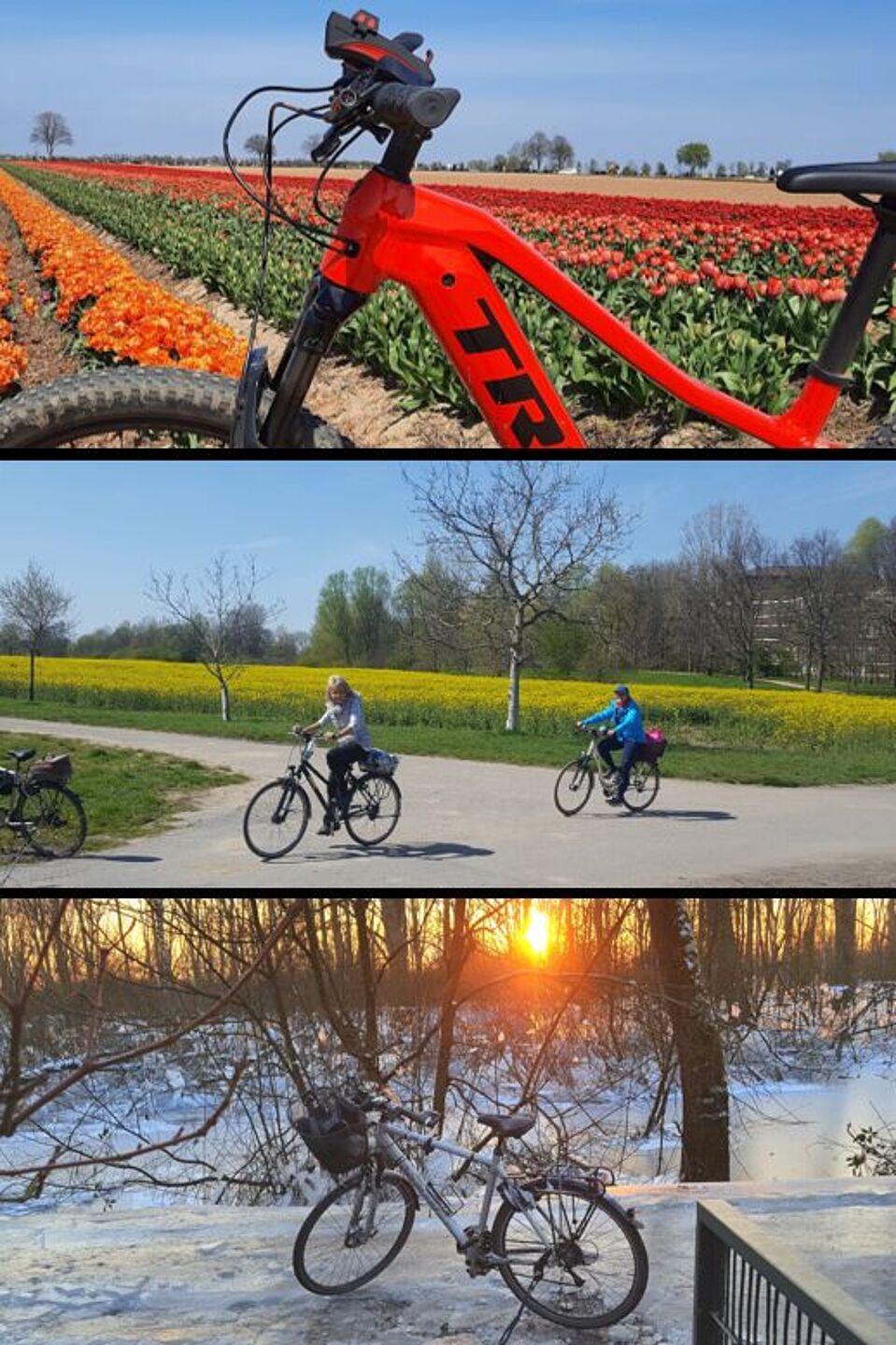 Collage aus Titelbildern früherer Newsletter-Ausgaben Collage aus Titelbildern früherer Newsletter-Ausgaben